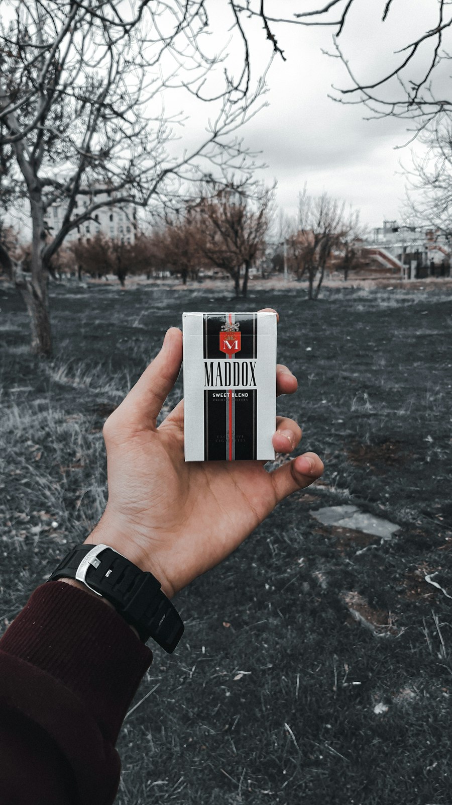 vape starter kit