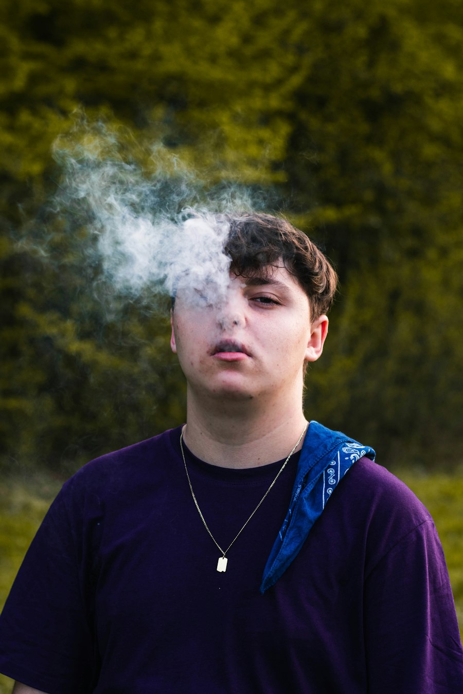 nicotine salt juice