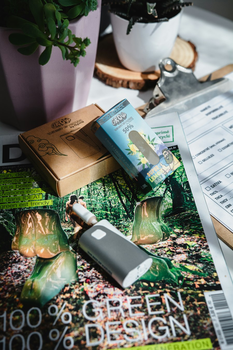 vape travel case